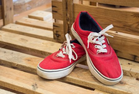 accesorios-pieldemariposa-zapatos-002