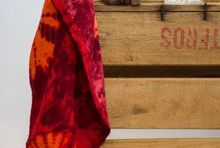 deco-ocio-pieldemariposa-010