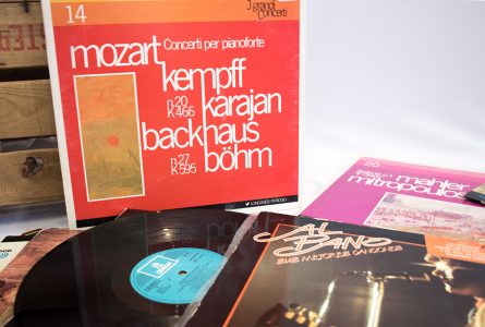 deco-ocio-pieldemariposa-019