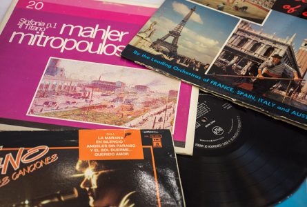 deco-ocio-pieldemariposa-020