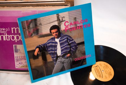 deco-ocio-pieldemariposa-021