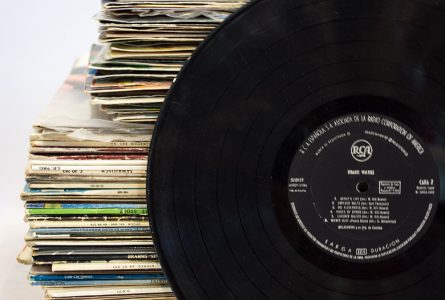 deco-ocio-pieldemariposa-023